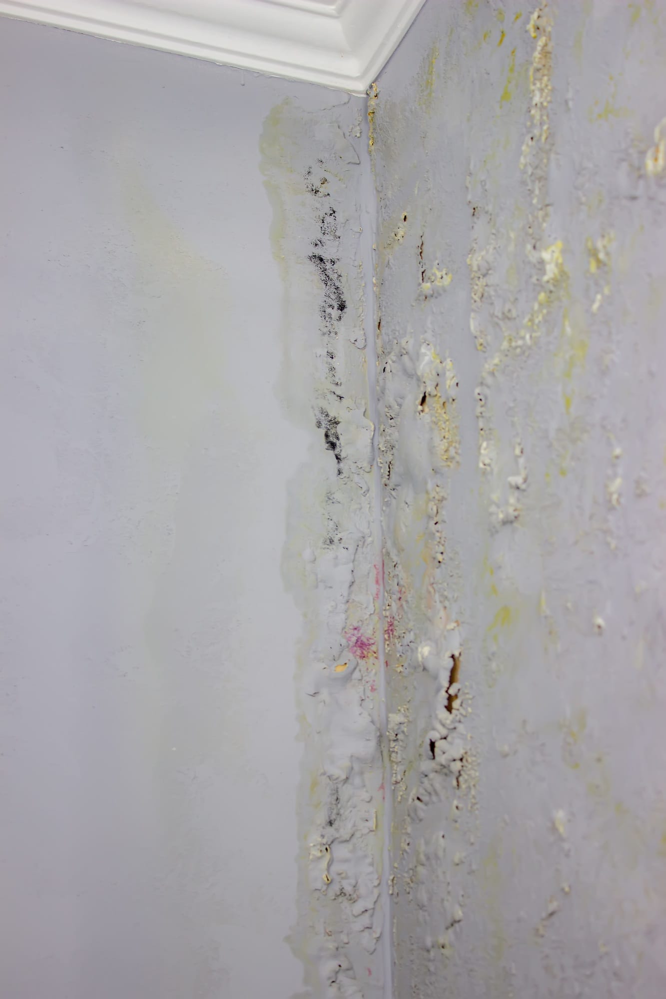 black mold on the wall. Fungus on the wall after the flooding of the house.