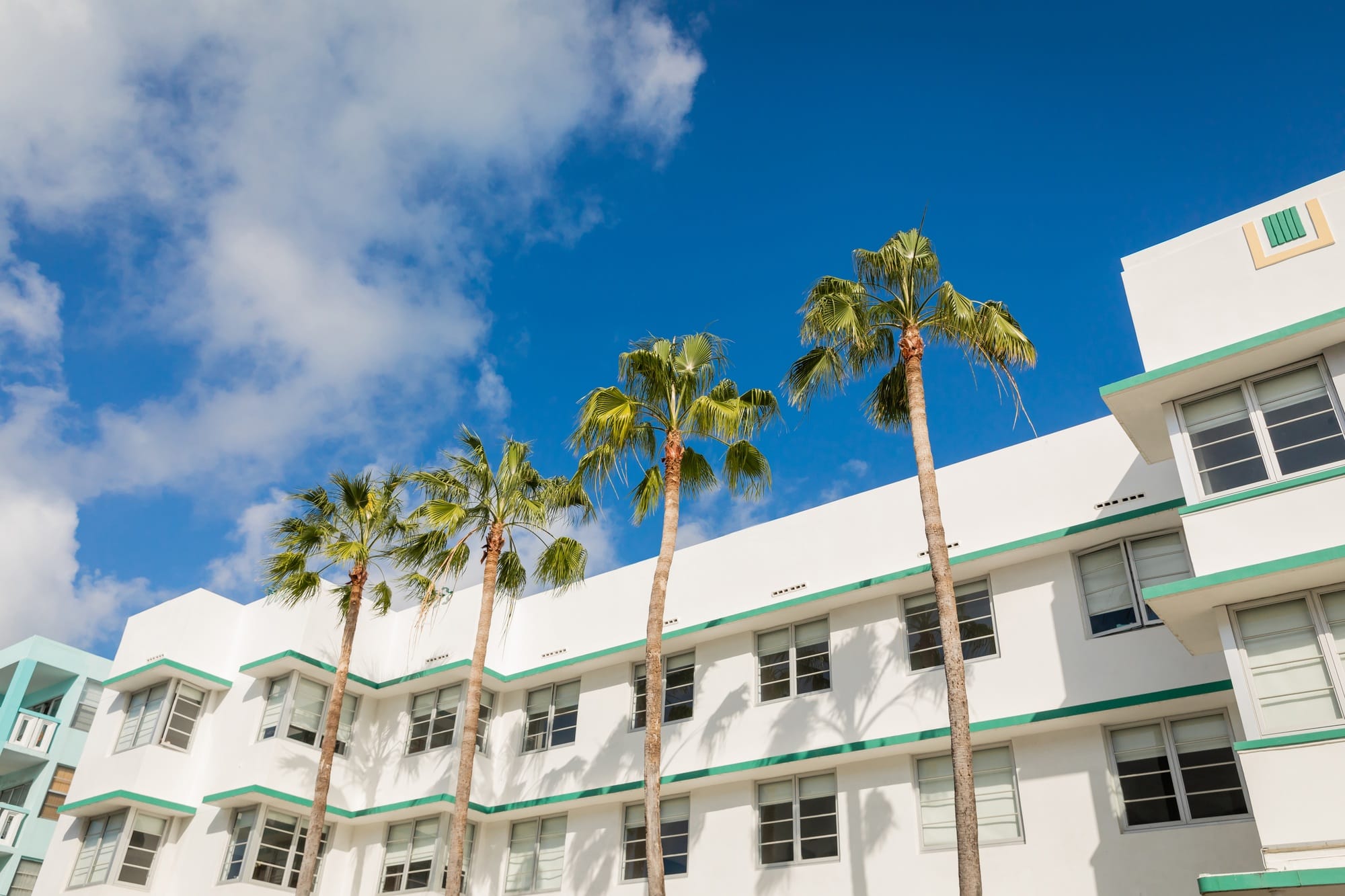 green palm trees growing near modern building against blue sky in Miami